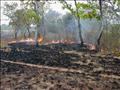 El fuego de la sabana